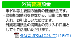外貨普通預金