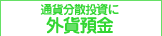 通貨分散投資に外貨預金