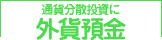 通貨分散投資に外貨預金