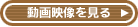 動画・音声配信