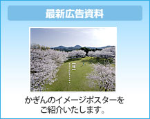 最新広告資料