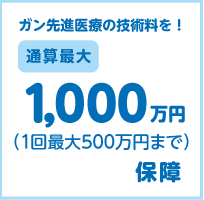 ガン最新医療の技術料を!通算最大1,000万円(1回最大500万円まで)保障します。 ガン最新医療の技術料を!通算最大1,000万円(1回最大500万円まで)保障します。