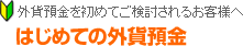 外貨預金を初めてご検討されるお客様へ　はじめての外貨預金