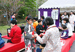 市来子ども茶道サークル茶道講座　観音ヶ池さくら祭り