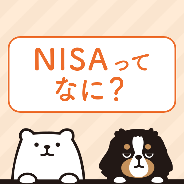 NISAってなに？