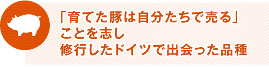 「育てた豚は自分たちで売る」ことを志し修行したドイツで出会った品種