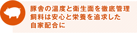 豚舎の温度と衛生面を徹底管理飼料は安心と栄養を追求した自家配合に